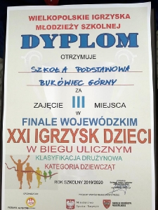 Mistrzostwa Wielkopolski w Biegach Ulicznych_13